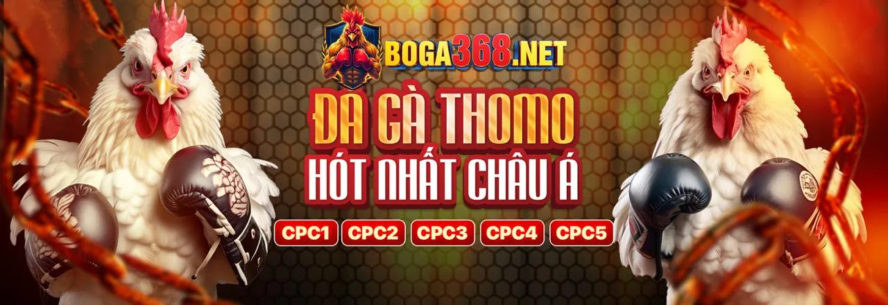 Đội ngũ vz88 com thể hiện cam kết và sự chuyên nghiệp